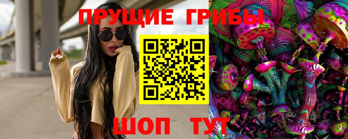Галлюциногенные грибы Psilocybe Надым