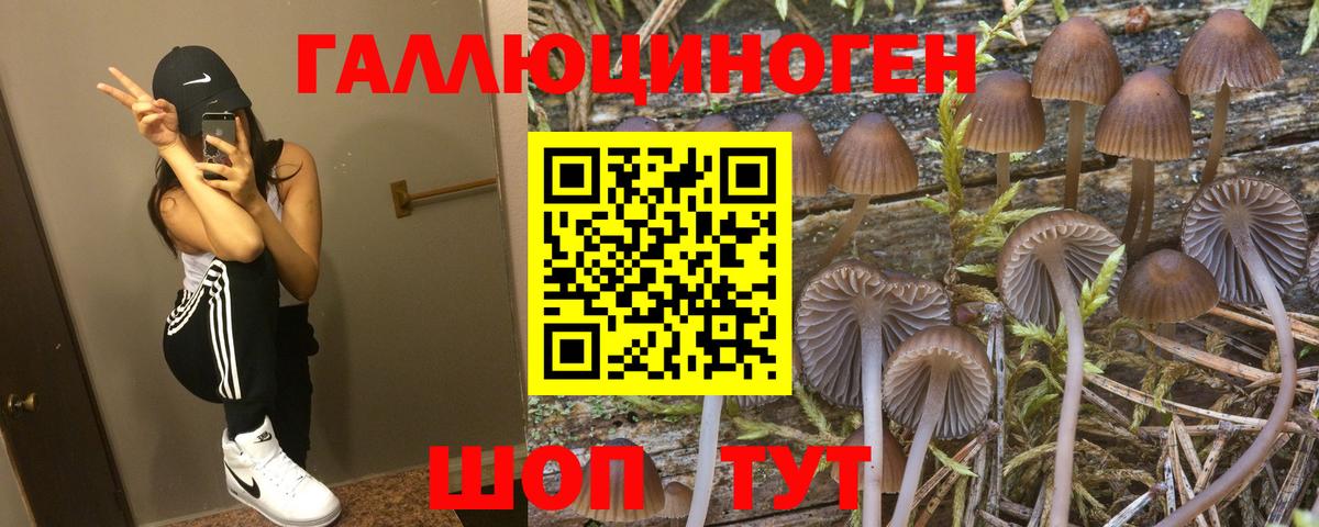 Надым  Псилоцибиновые грибы Psilocybe  Вход с VPN 